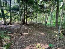 LOT 5 HIGHWAY 26 Meaford 