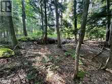 LOT 5 HIGHWAY 26 Meaford (Municipality)