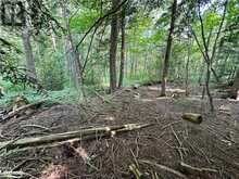 LOT 5 HIGHWAY 26 Meaford 