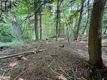 LOT 5 HIGHWAY 26 Meaford