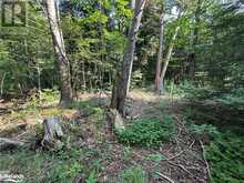 LOT 5 HIGHWAY 26 Meaford