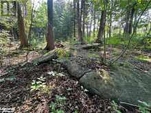 LOT 5 HIGHWAY 26 Meaford (Municipality)