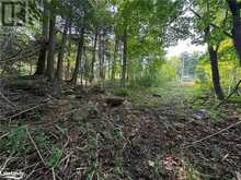 LOT 5 HIGHWAY 26 Meaford 