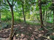 LOT 5 HIGHWAY 26 Meaford 