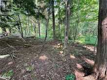 LOT 5 HIGHWAY 26 Meaford 