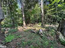 LOT 5 HIGHWAY 26 Meaford (Municipality)