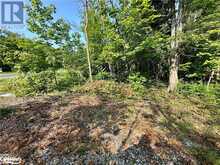 LOT 5 HIGHWAY 26 Meaford