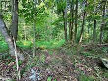 LOT 5 HIGHWAY 26 Meaford (Municipality)