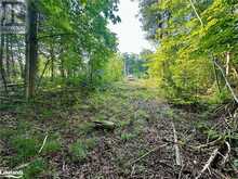 LOT 5 HIGHWAY 26 Meaford (Municipality)