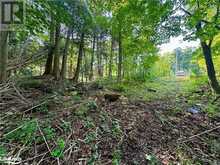 LOT 5 HIGHWAY 26 Meaford