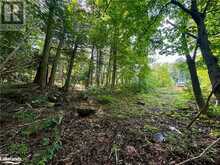 LOT 5 HIGHWAY 26 Meaford 