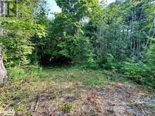 LOT 5 HIGHWAY 26 Meaford