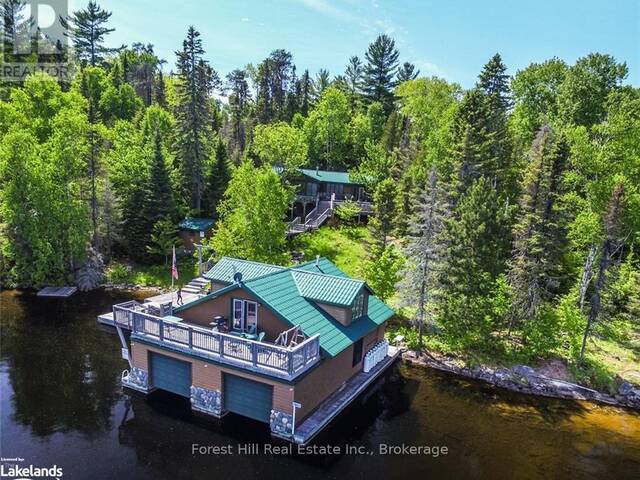 10365 RABBIT Temagami Ontario