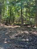 LOT 29 WEST Court Haliburton