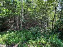 LOT 29 WEST Court Haliburton