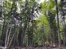 LOT 26 WEST Court Haliburton