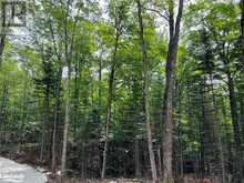 LOT 26 WEST Court Haliburton