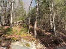 LOT 27 BUSHWOLF LAKE Road Haliburton