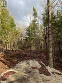 LOT 27 BUSHWOLF LAKE Road Haliburton