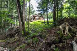 1532 BRAELOCH Road Algonquin Highlands