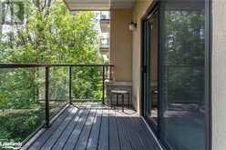 91 RAGLAN Street Unit# 205 Collingwood