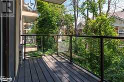 91 RAGLAN Street Unit# 205 Collingwood