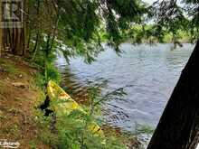 LOT 58 CON 7 LT3 PL M451 BOYD Island Gravenhurst