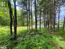 1236 MOOT LAKE Road Baysville