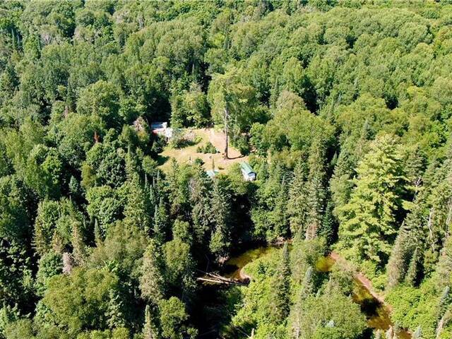 1448 BINSCARTH Trail Haliburton Ontario