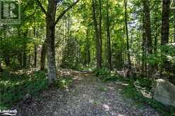 1448 BINSCARTH Trail Haliburton