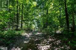 1448 BINSCARTH Trail Haliburton