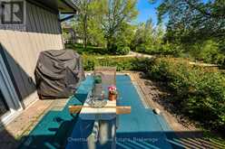 774 JOHNSTON PARK AVENUE Collingwood