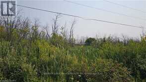 LOT 36 BARTLEY DRIVE Northern Bruce Peninsula