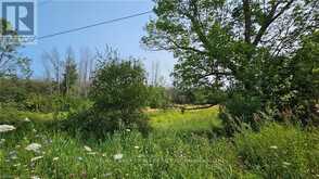 LOT 36 BARTLEY DRIVE Northern Bruce Peninsula