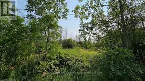 LOT 36 BARTLEY DRIVE Northern Bruce Peninsula