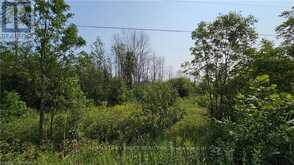 LOT 36 BARTLEY DRIVE Northern Bruce Peninsula