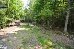 PAST 3558 COUNTY RD 8 Dorset