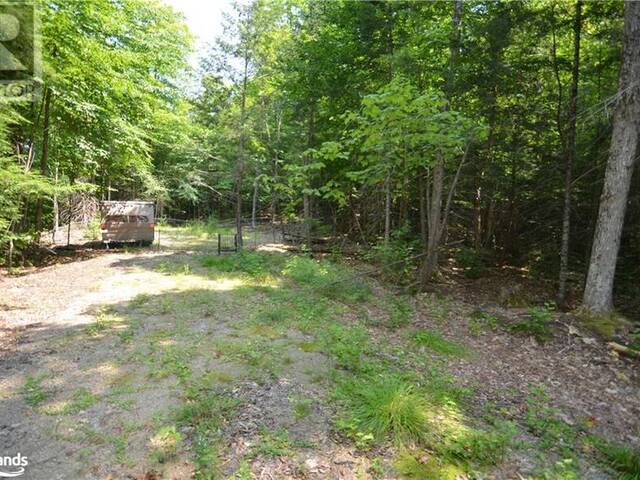 PAST 3558 COUNTY RD 8 Dorset Ontario