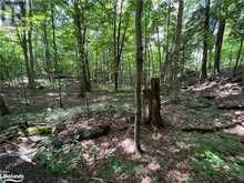 LOT 134 BRENNAN Circle Huntsville