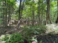 LOT 134 BRENNAN Circle Huntsville