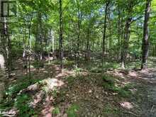 LOT 134 BRENNAN Circle Huntsville