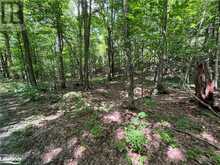 LOT 134 BRENNAN Circle Huntsville