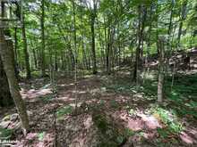 LOT 134 BRENNAN Circle Huntsville