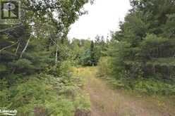 0 HALIBURTON LK Road Haliburton