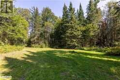 LOT 15 CONCESSION 11 Huntsville