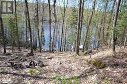 1025 SELECT Trail Haliburton