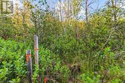 LOT 53 SPRY SHORE ROAD Northern Bruce Peninsula