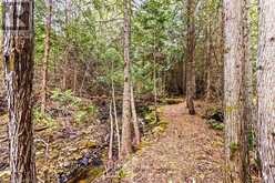 LOT 53 SPRY SHORE ROAD Northern Bruce Peninsula