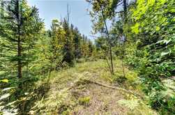 LOT 55 55TH Street S Wasaga Beach