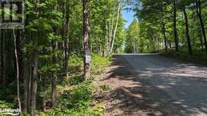 LOT 2 TALLY HO WINTER PARK Road Lake of Bays